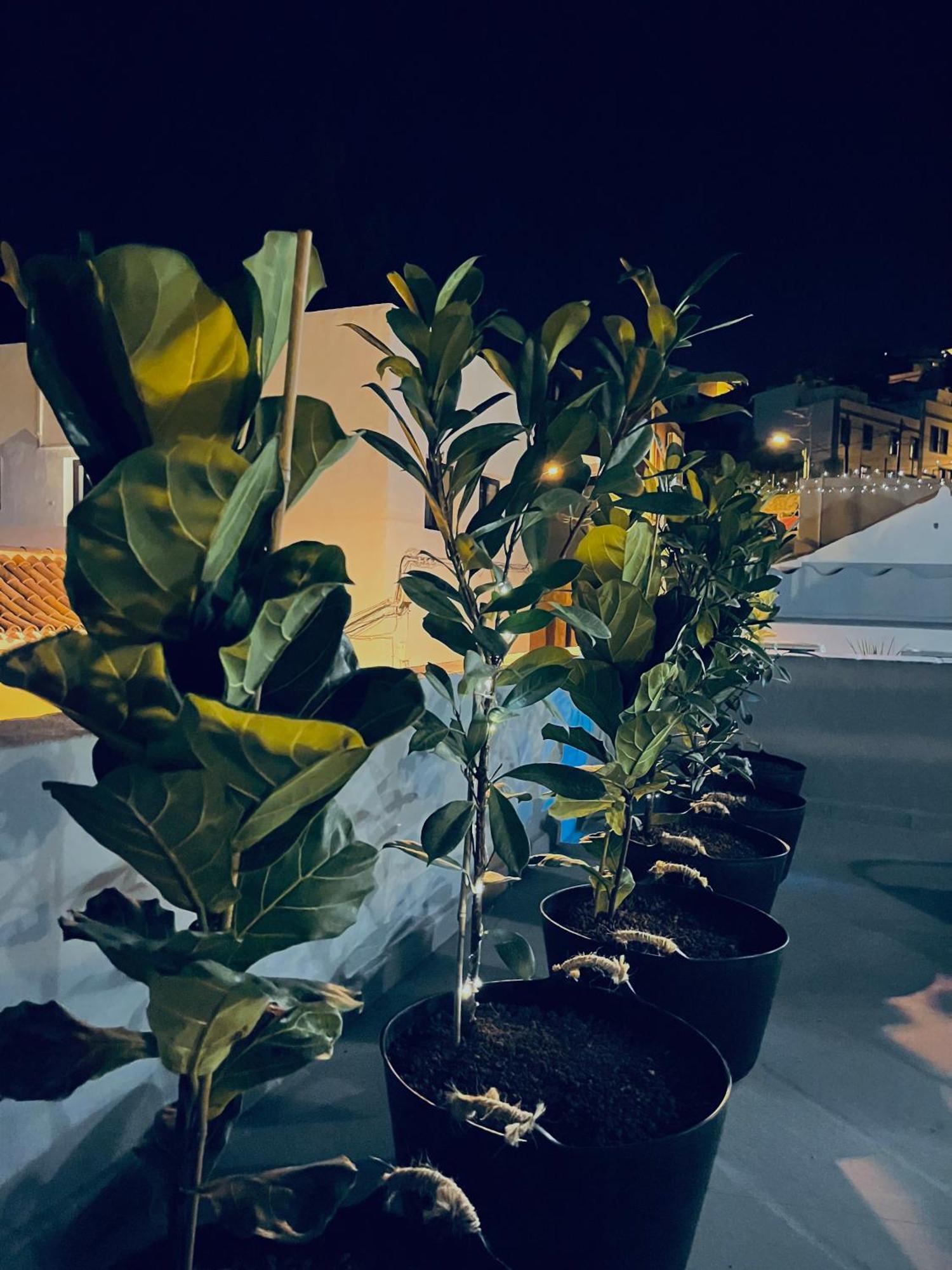 Plaza De La Fuente Granadilla De Abona Tenerife Sur Only Adults Con Terraza Privada Kültér fotó
